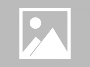 新公司招聘文案简短（新企业人才招募宣传文案精粹）