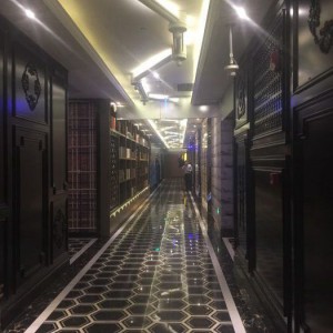 招聘女主播助理文案（招募女主播专属助理——职位招募公告）