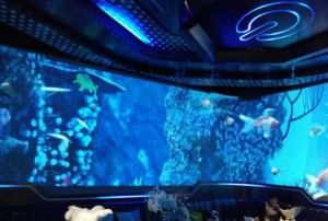 富士酒店的招聘条件（富士酒店招聘标准及要求）